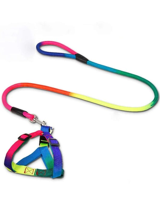 Harness +Leash - Rainbow print