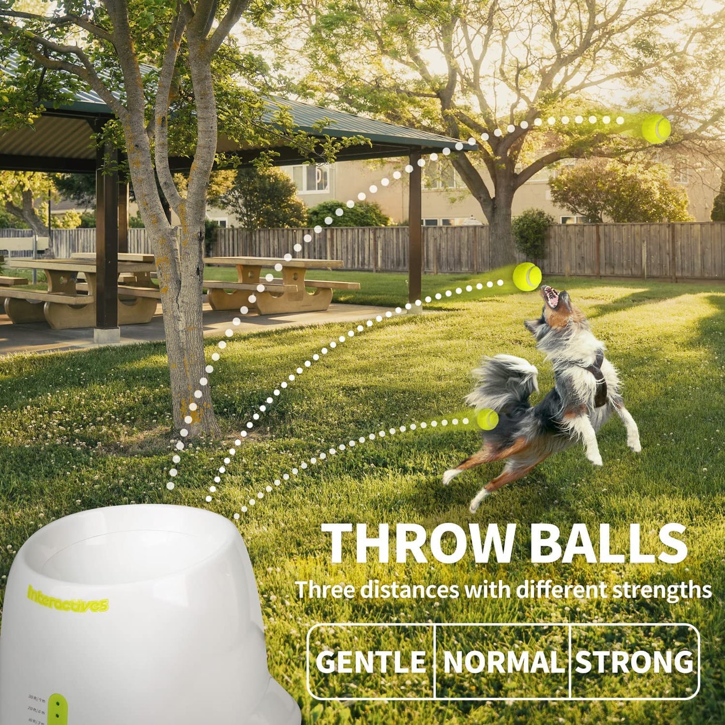 Automatic Ball Launcher for Dogs