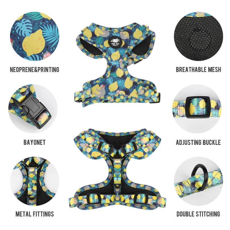 Dog Harness Set-Blue & Yellow Print