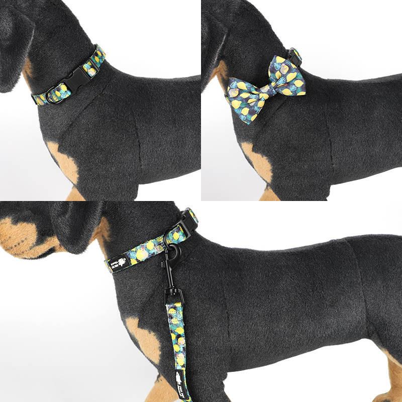 Dog Harness Set-Blue & Yellow Print