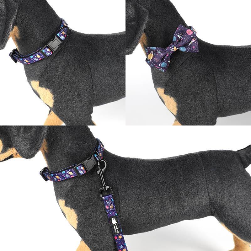 Dog Harness Set-Purple Print